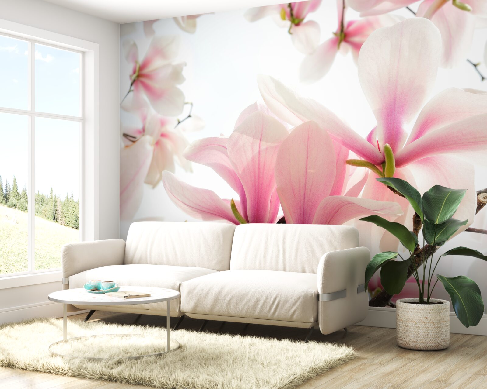 Fototapeta kwitnące magnolie