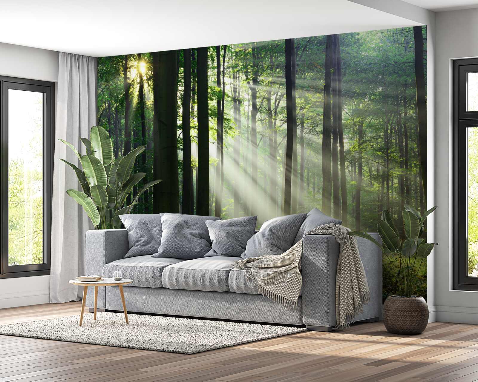 Fototapeta poranny las