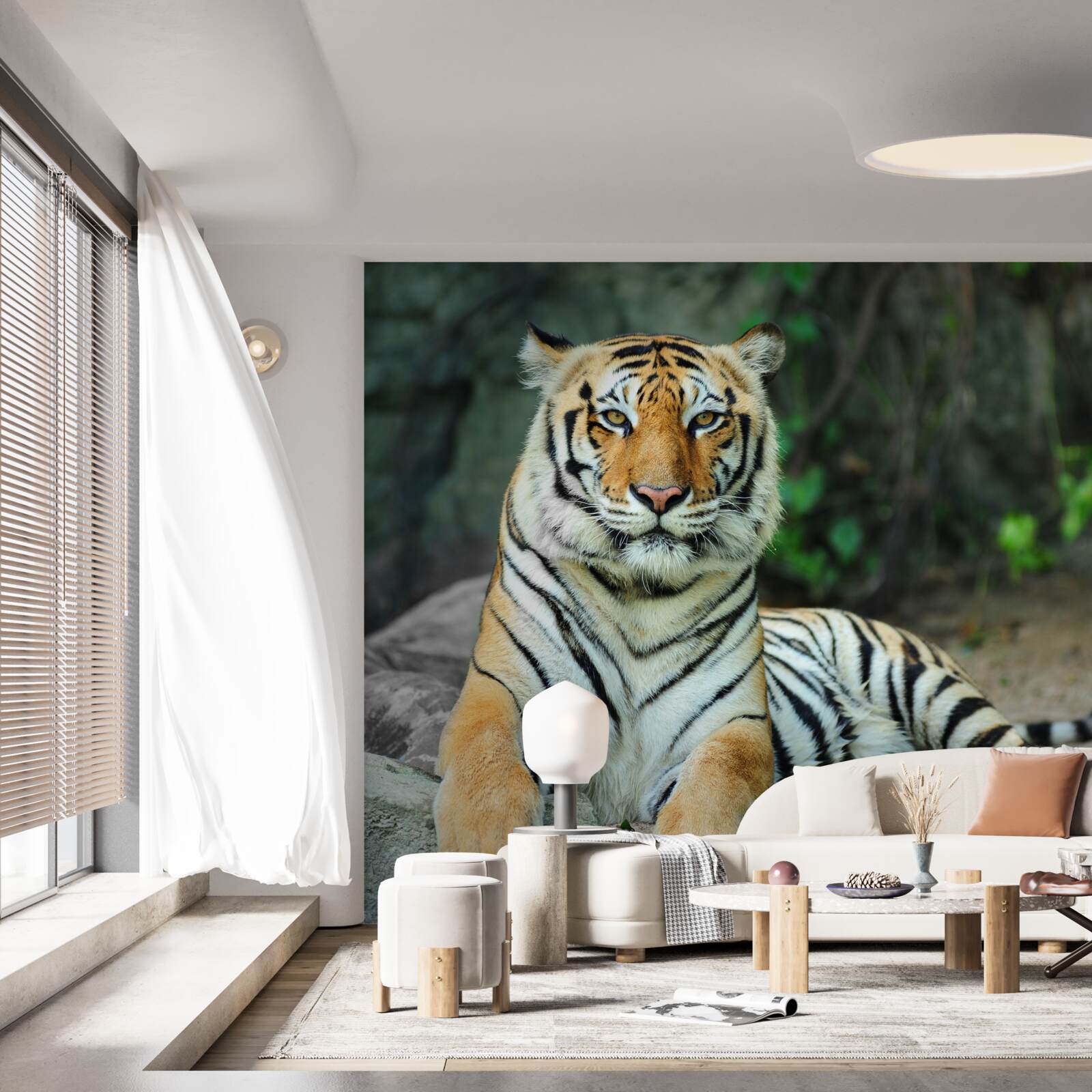 Fototapeta piękny tygrys na wakacjach