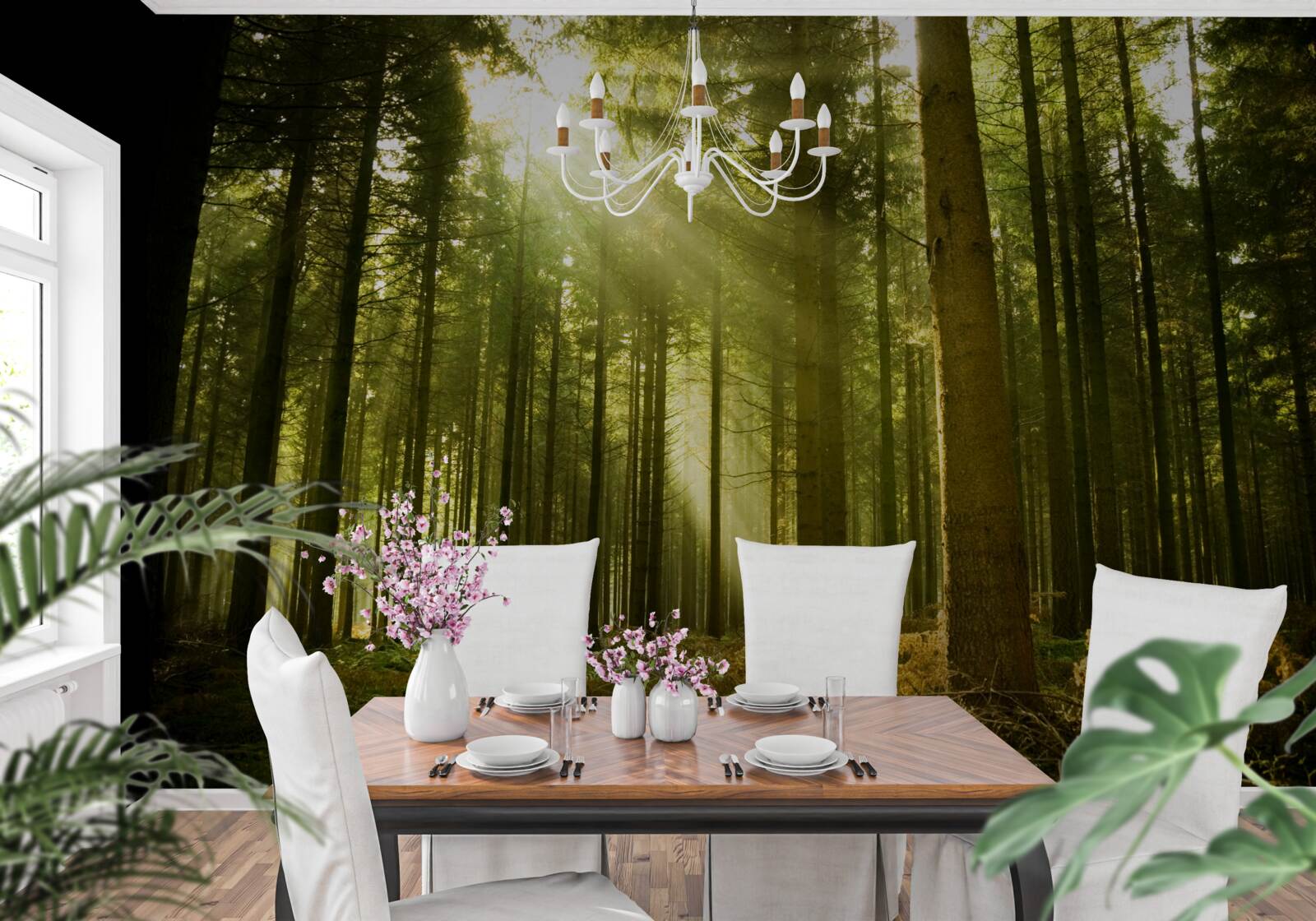 Fototapeta promienie słońca oświetlają las