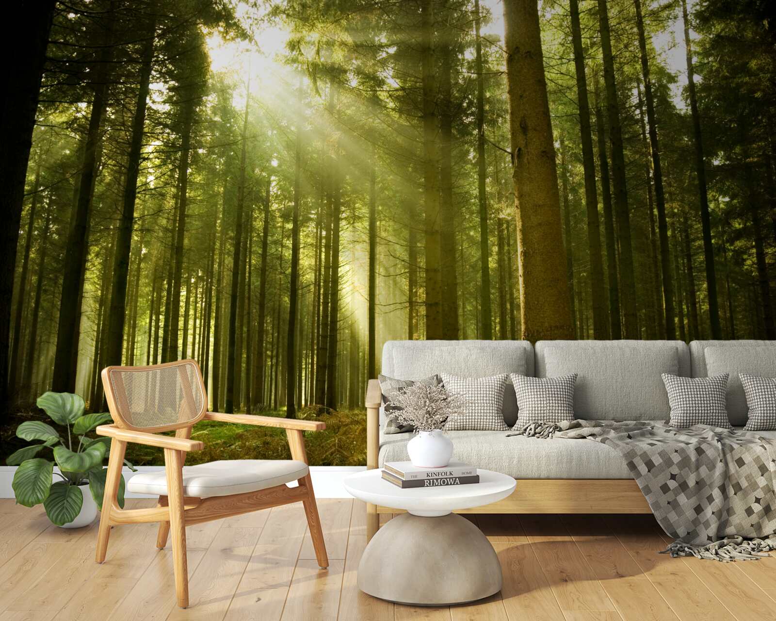 Fototapeta promienie słońca oświetlają las