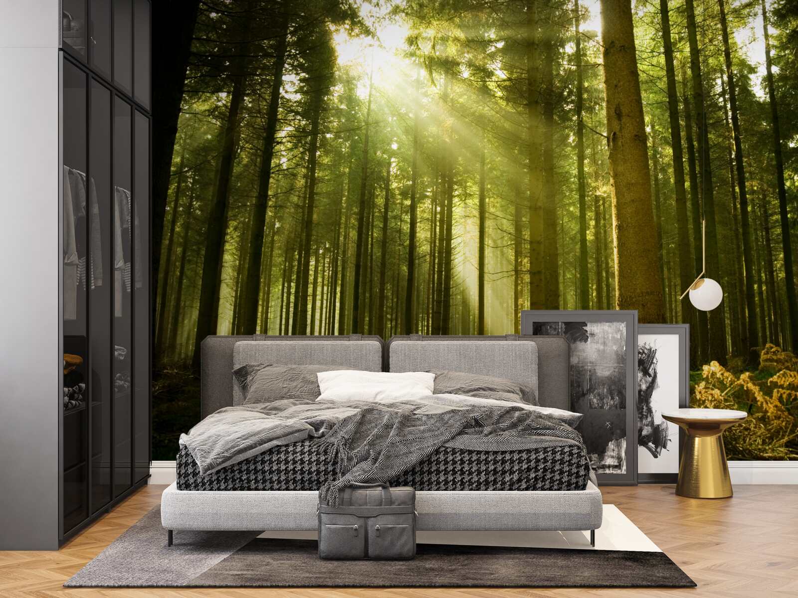 Fototapeta promienie słońca oświetlają las