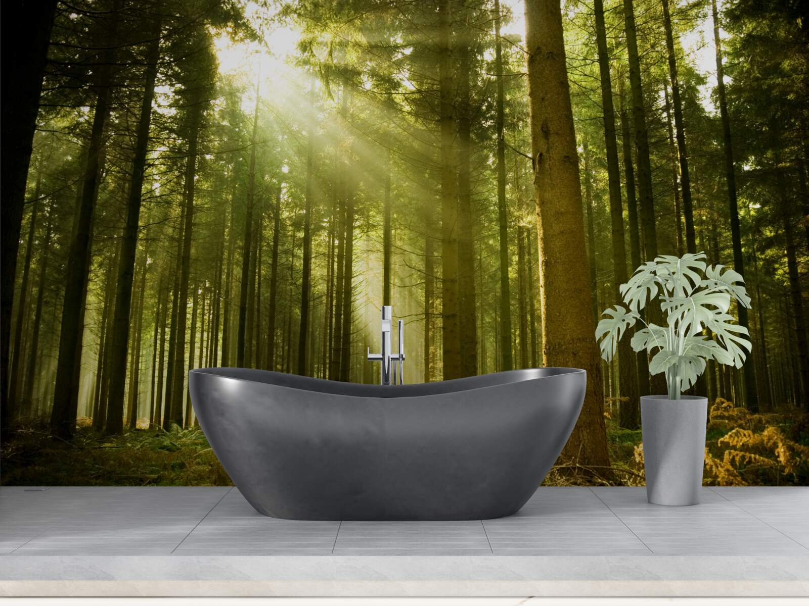 Fototapeta promienie słońca oświetlają las