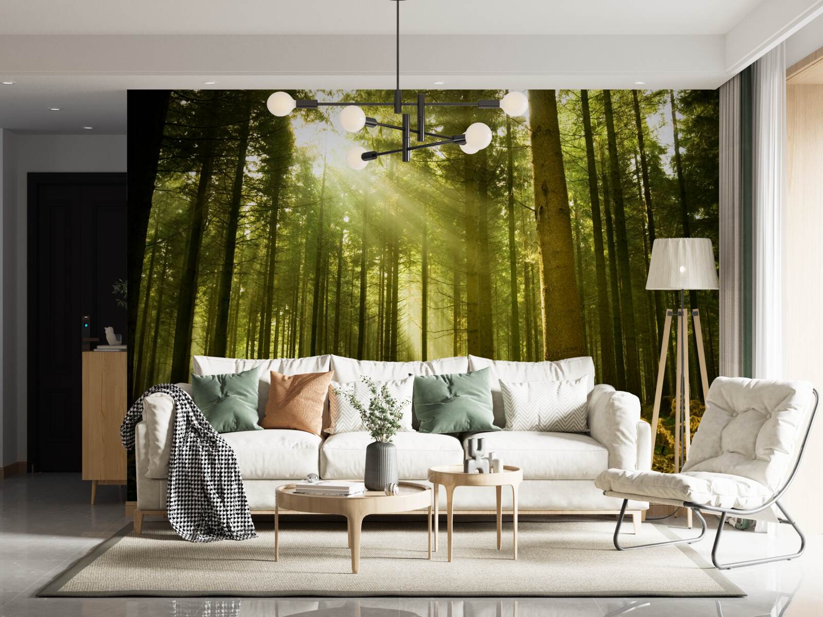 Fototapeta promienie słońca oświetlają las