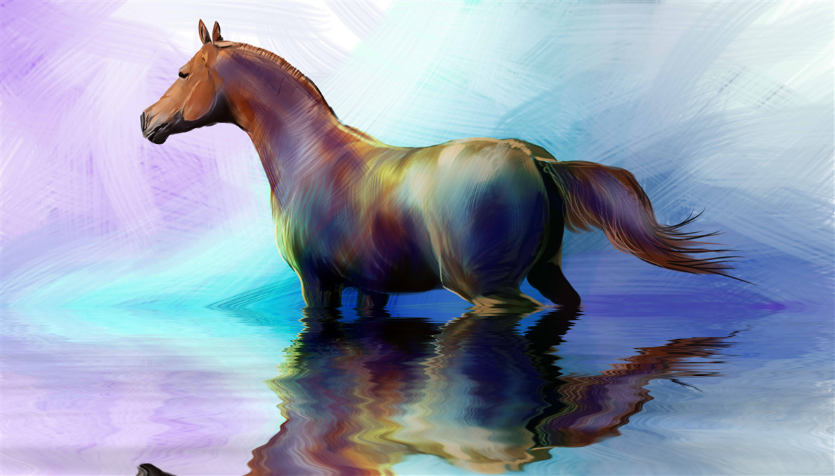 Fototapeta koń jest w wodzie