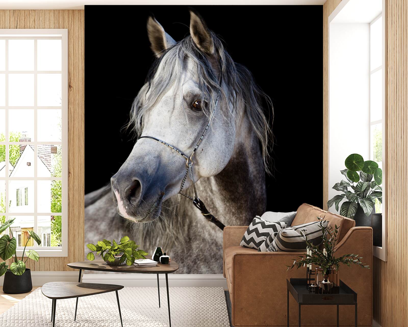 Fototapeta elegancka sylwetka konia na ciemnym tle