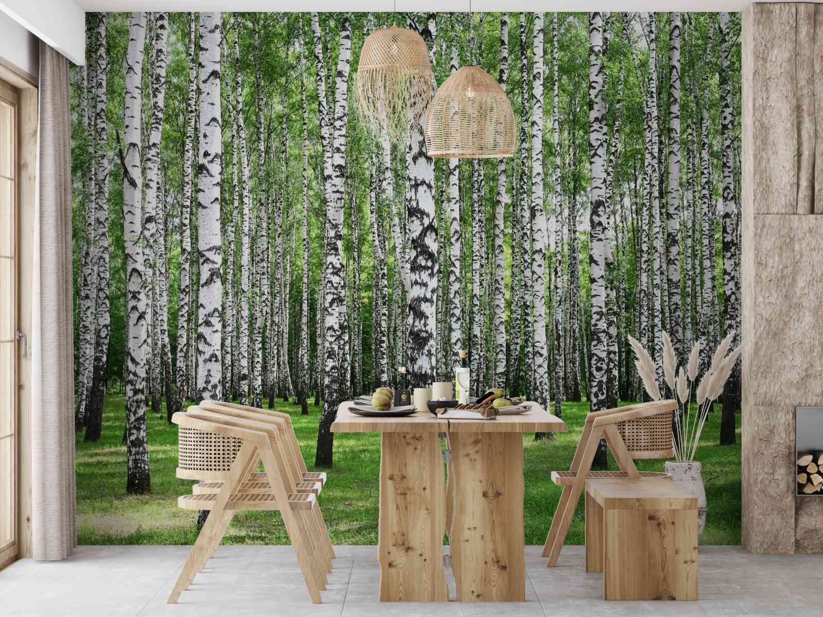 Fototapeta rozległy gaj brzozowy