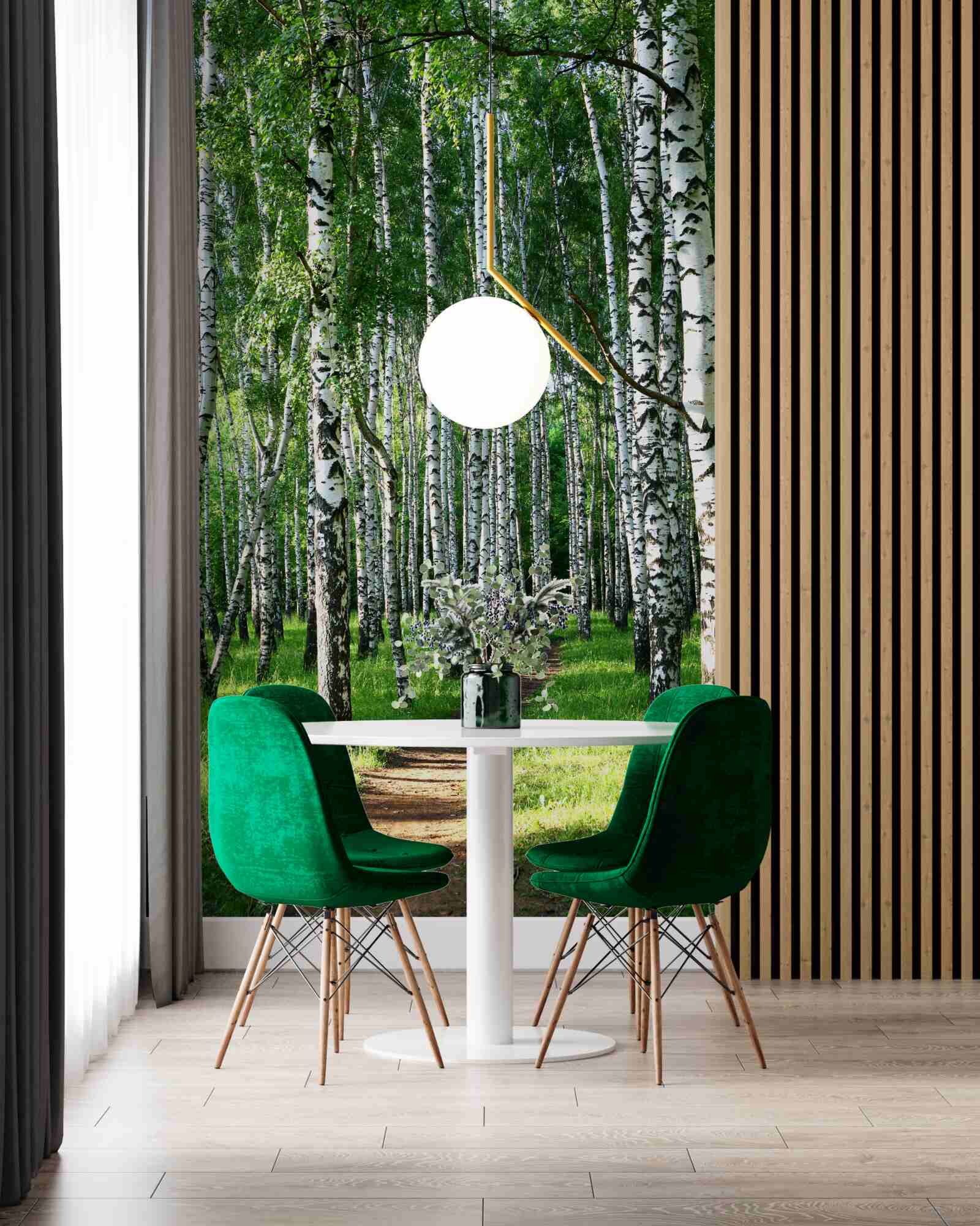 Fototapeta ścieżka biegnąca przez gaj brzozowy