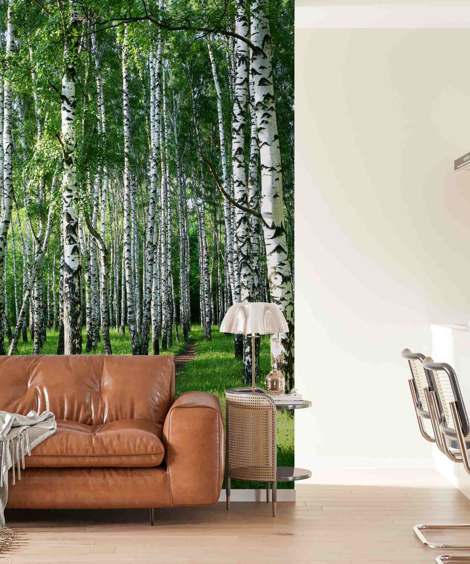 Fototapeta ścieżka biegnąca przez gaj brzozowy