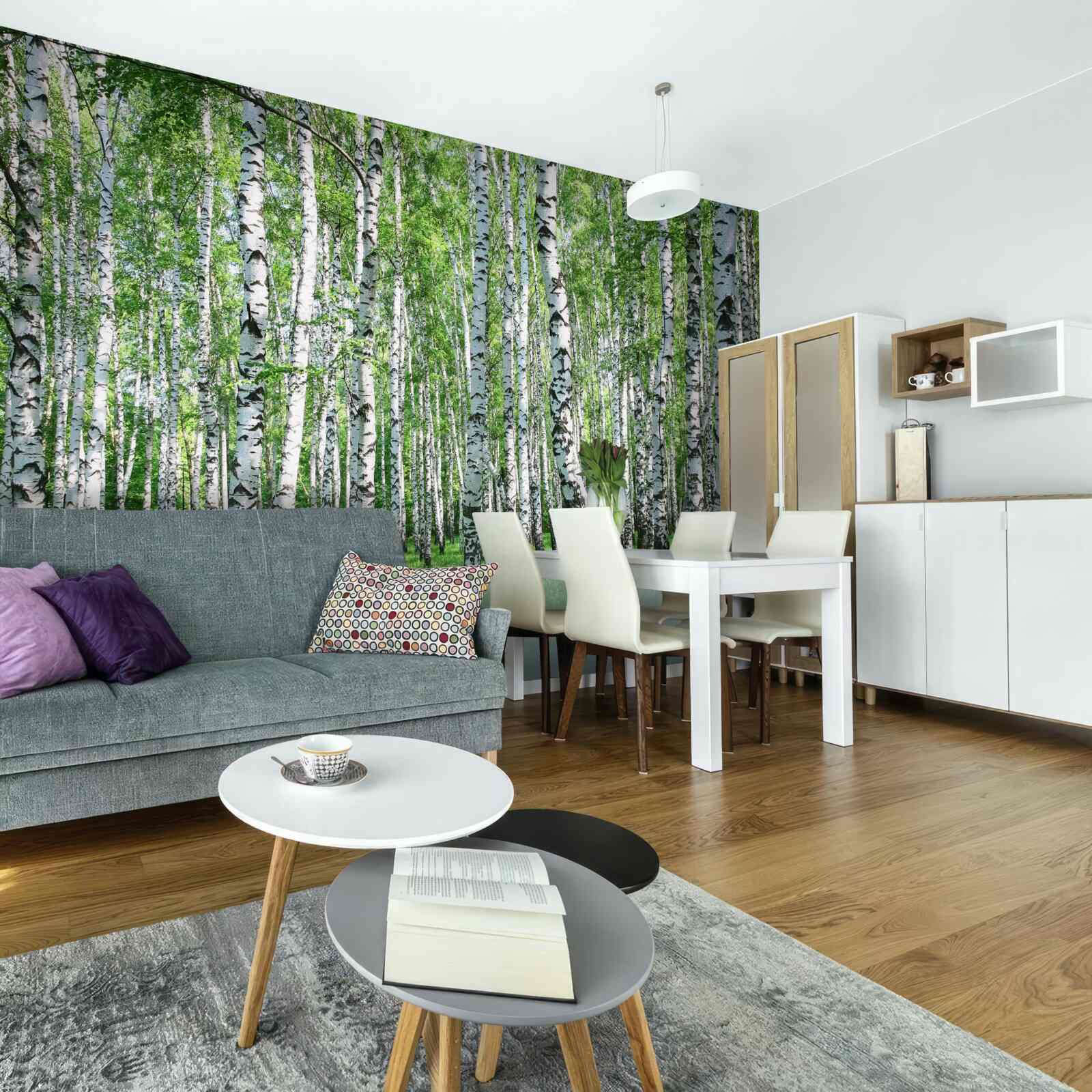 Fototapeta w lesie jest dużo brzóz