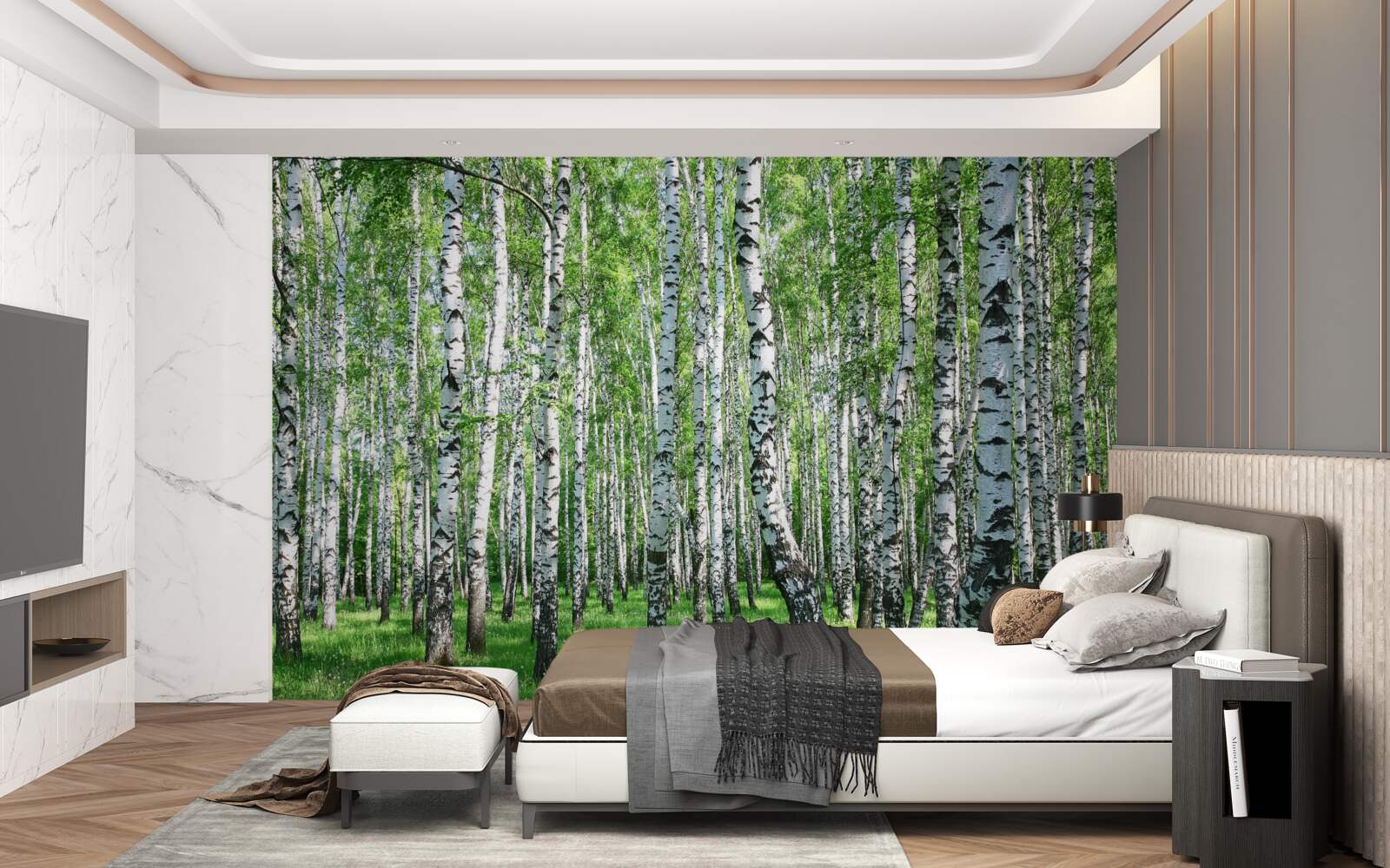 Fototapeta w lesie jest dużo brzóz