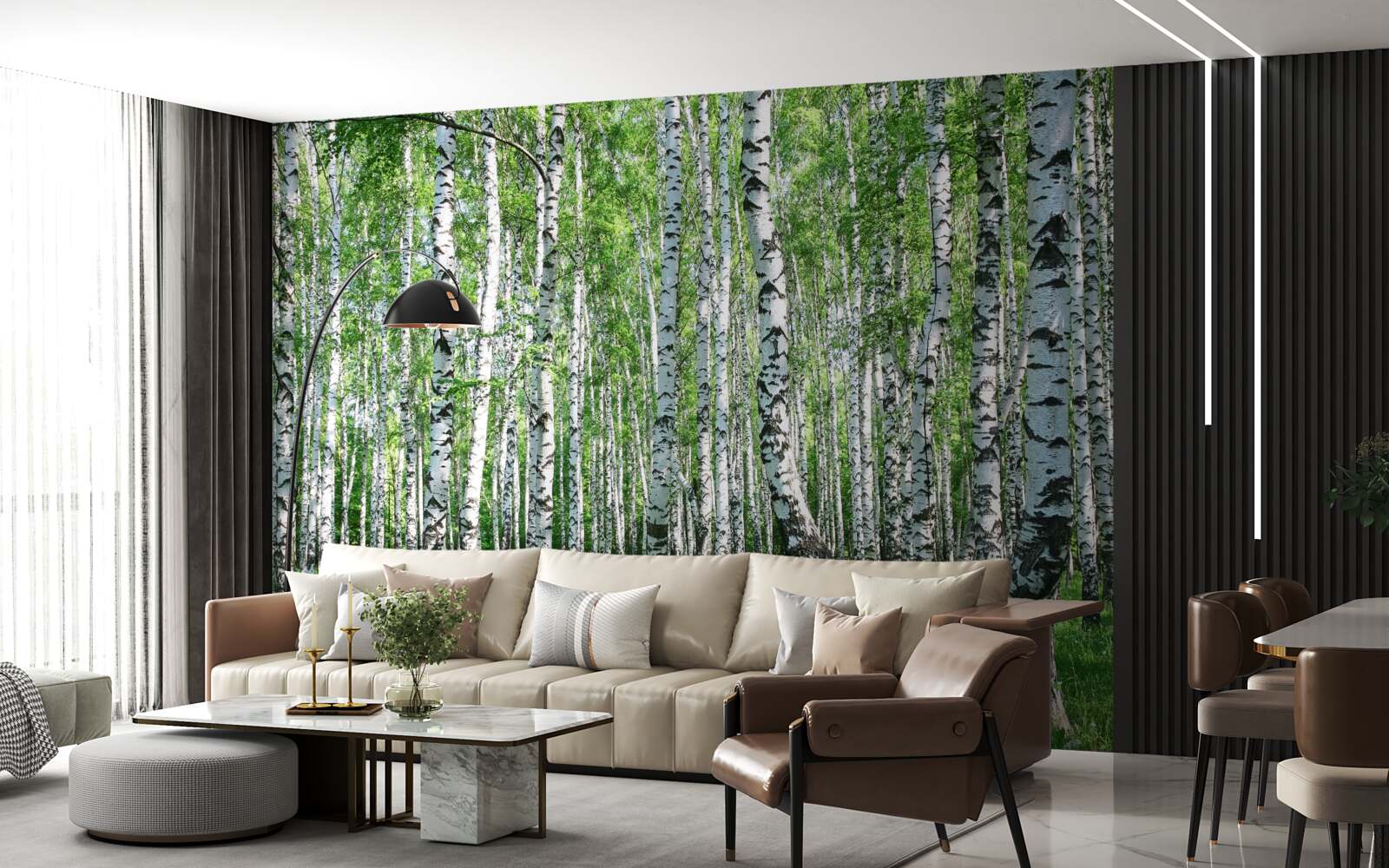 Fototapeta w lesie jest dużo brzóz