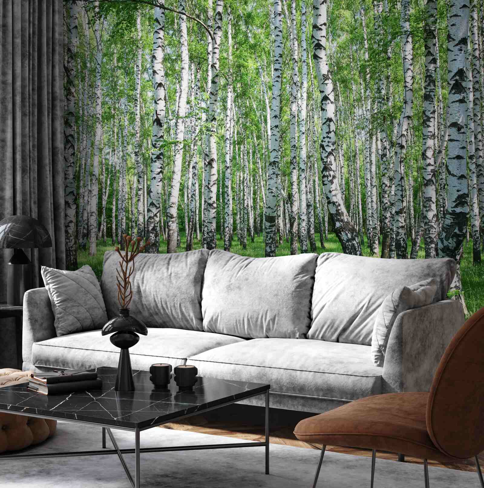 Fototapeta w lesie jest dużo brzóz