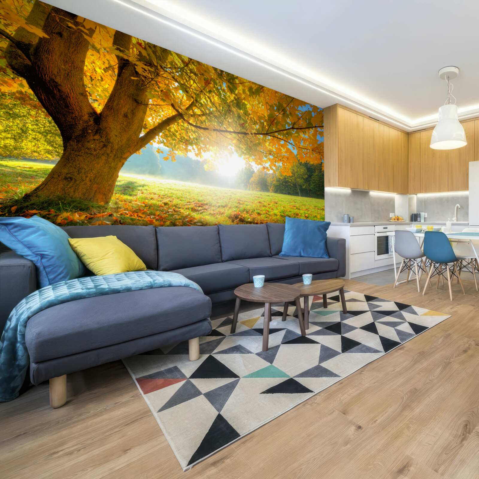 Fototapeta jesienny las oświetlony słońcem