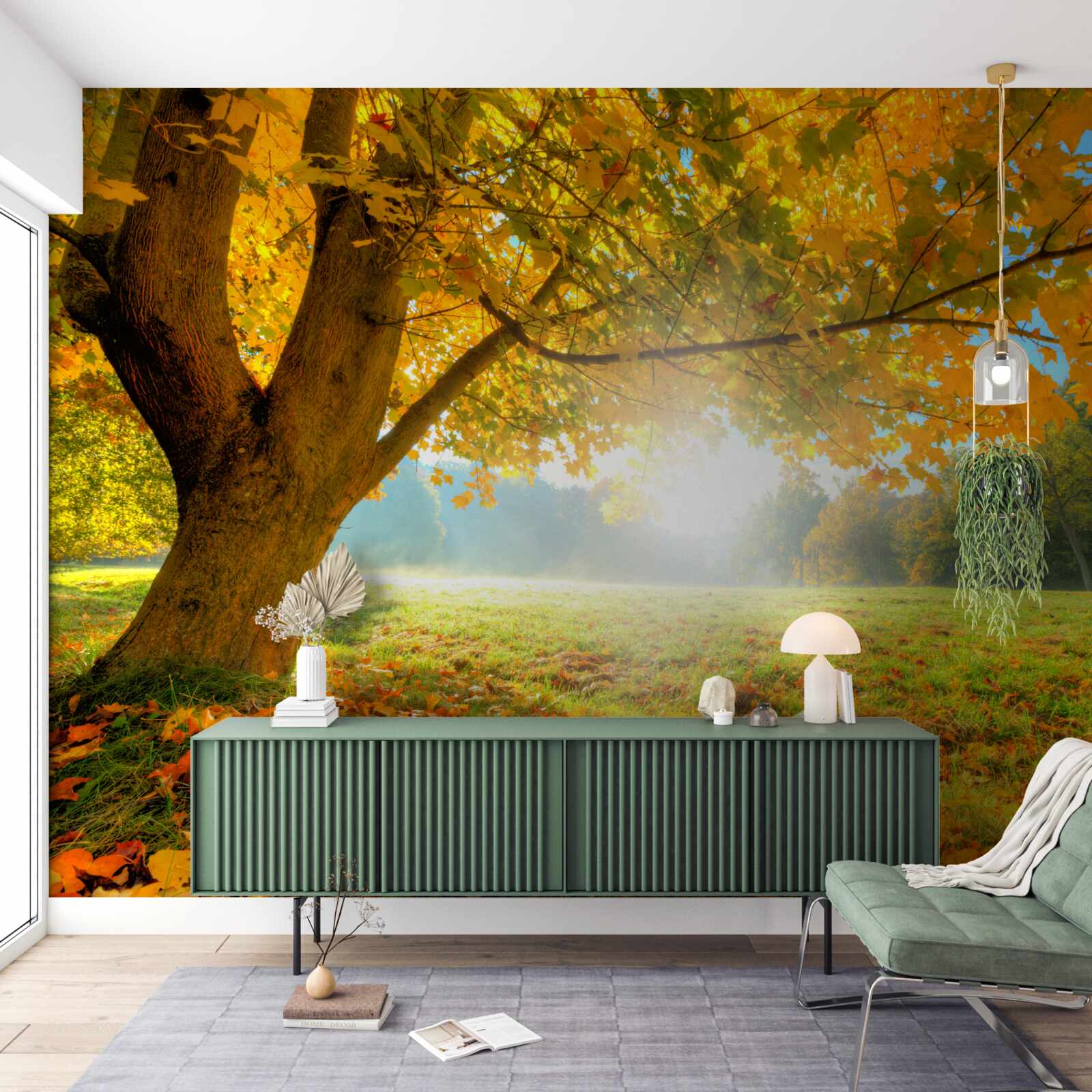 Fototapeta jesienny las oświetlony słońcem