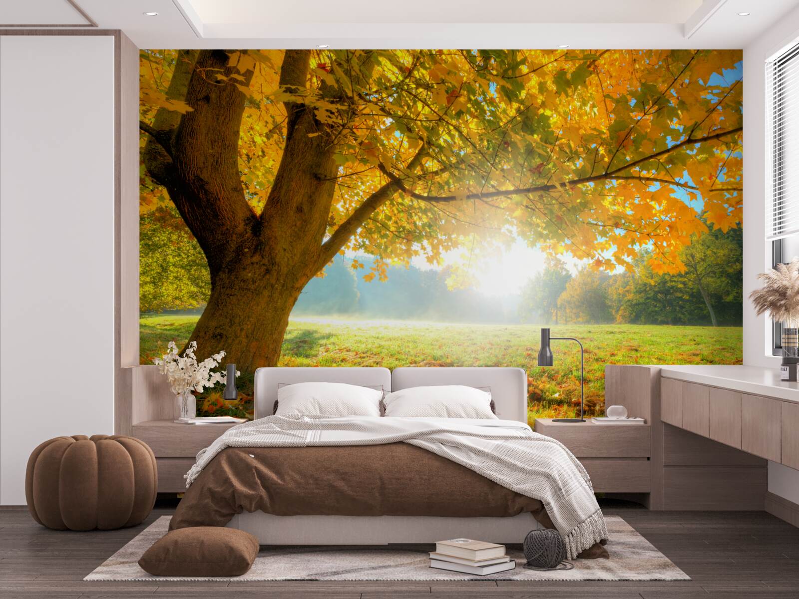 Fototapeta jesienny las oświetlony słońcem