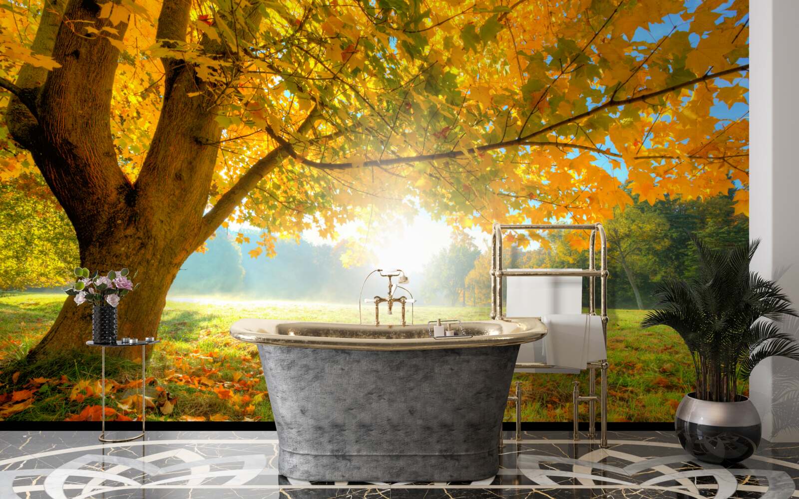 Fototapeta jesienny las oświetlony słońcem