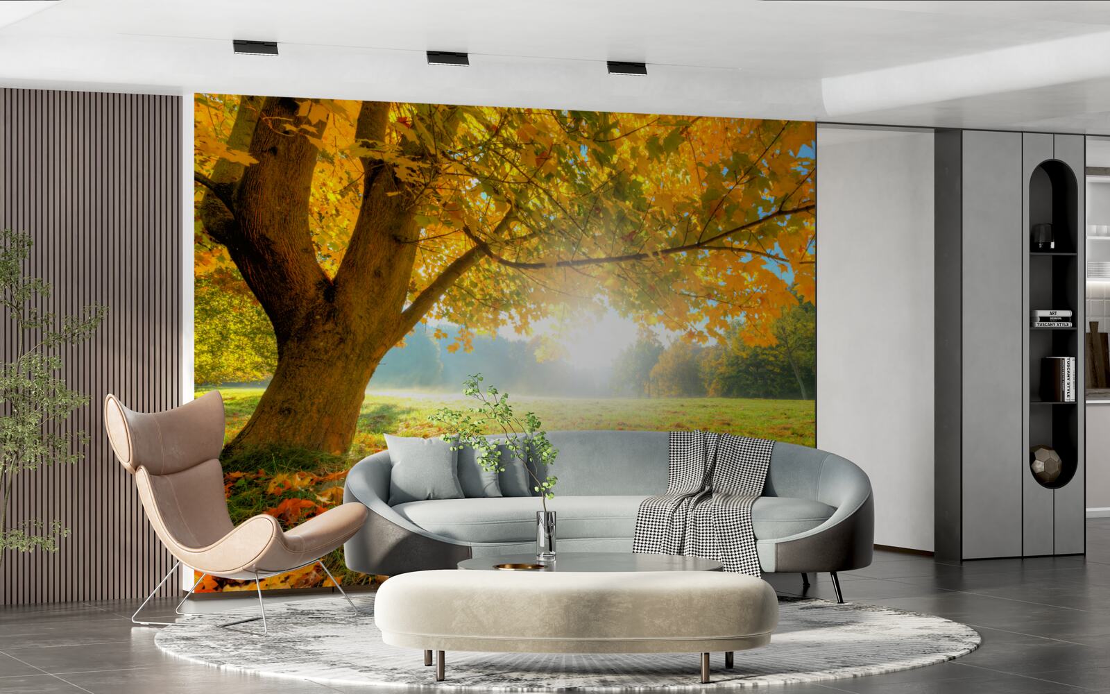 Fototapeta jesienny las oświetlony słońcem