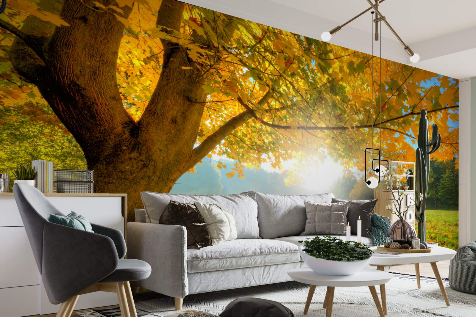 Fototapeta jesienny las oświetlony słońcem