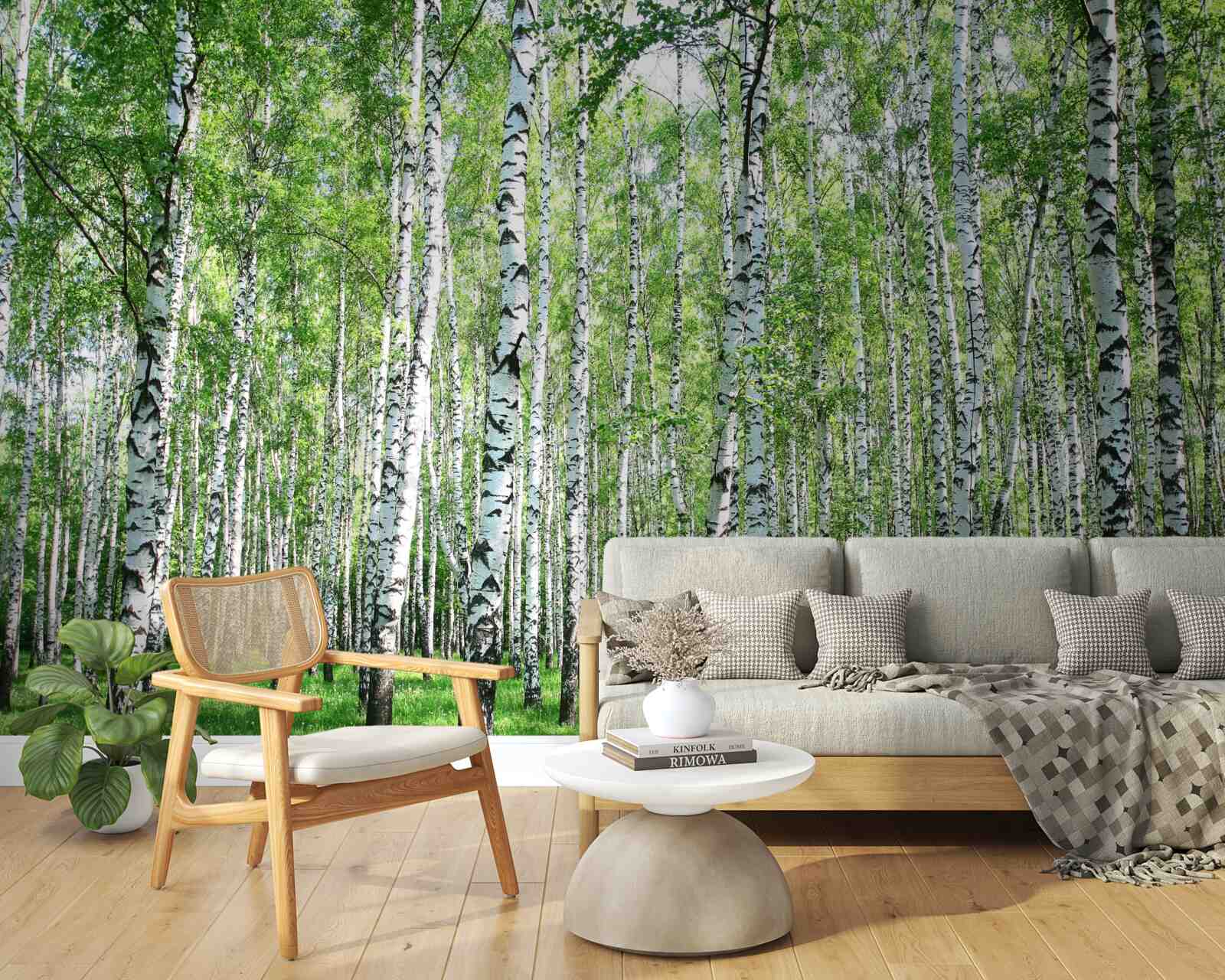 Fototapeta pełne wdzięku, ku niebu brzozy