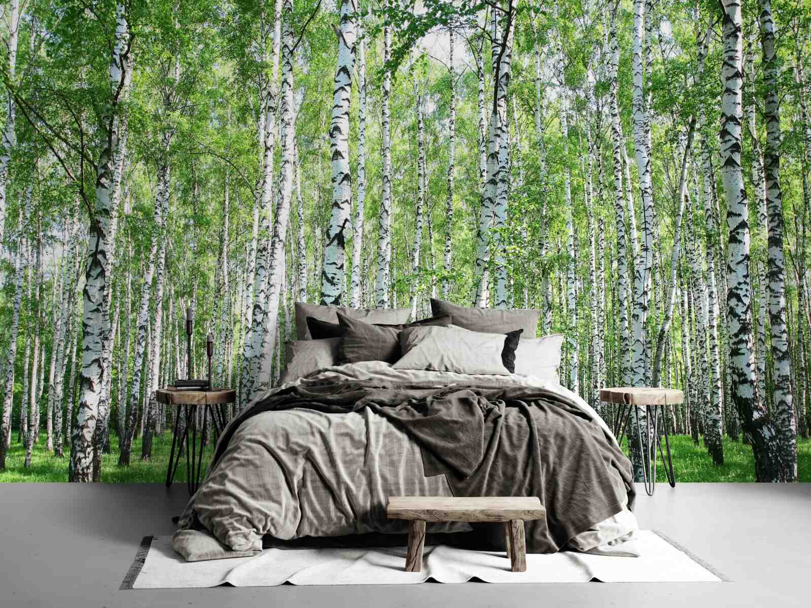 Fototapeta pełne wdzięku, ku niebu brzozy