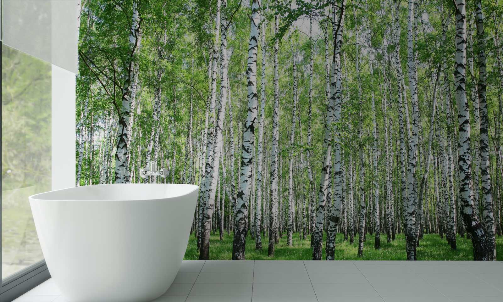 Fototapeta pełne wdzięku, ku niebu brzozy