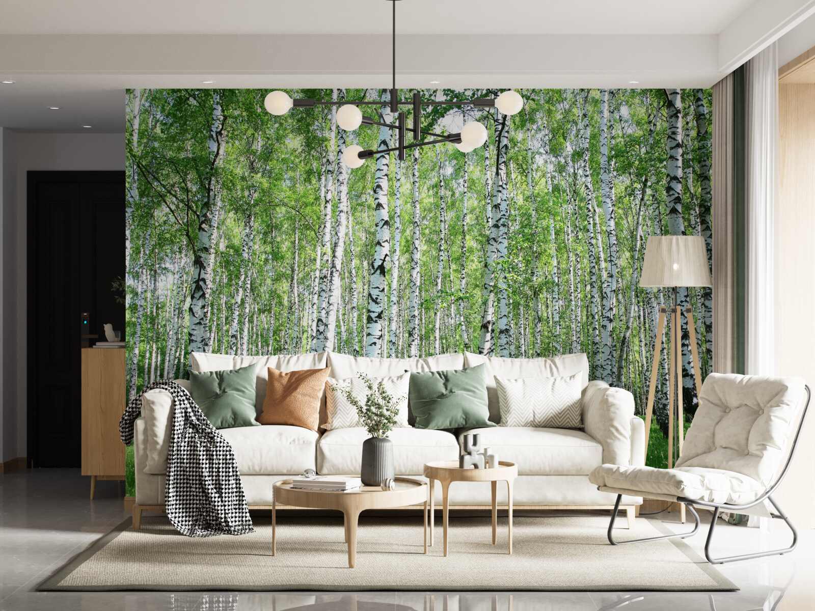 Fototapeta pełne wdzięku, ku niebu brzozy