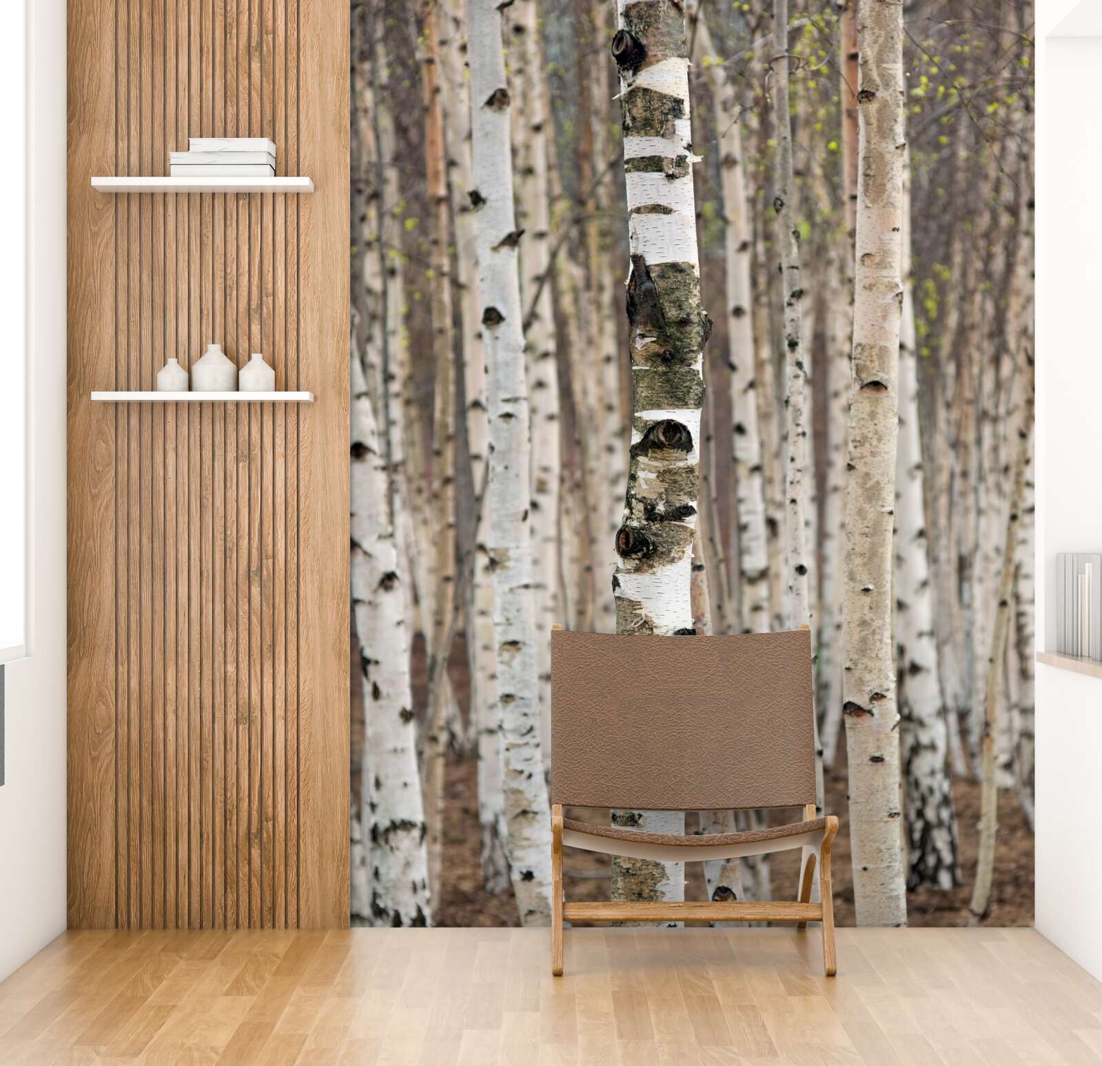 Fototapeta brzozy w lesie