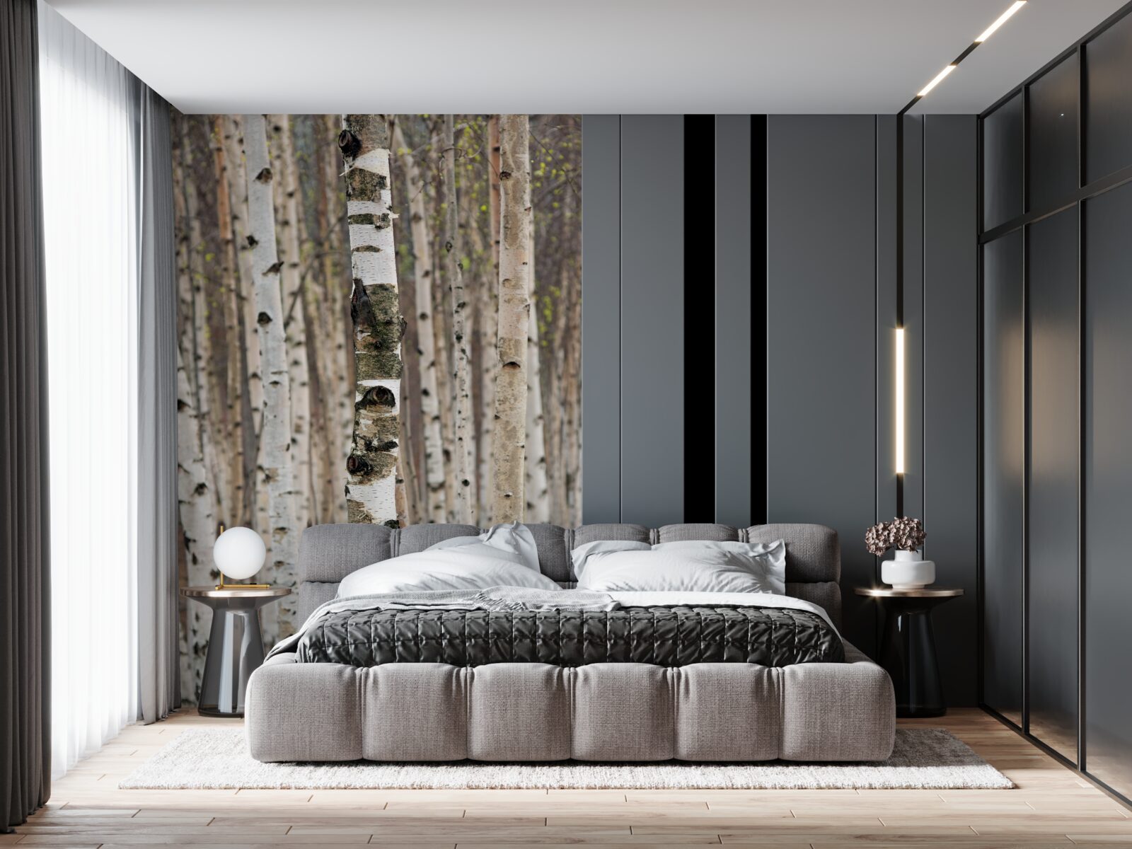 Fototapeta brzozy w lesie