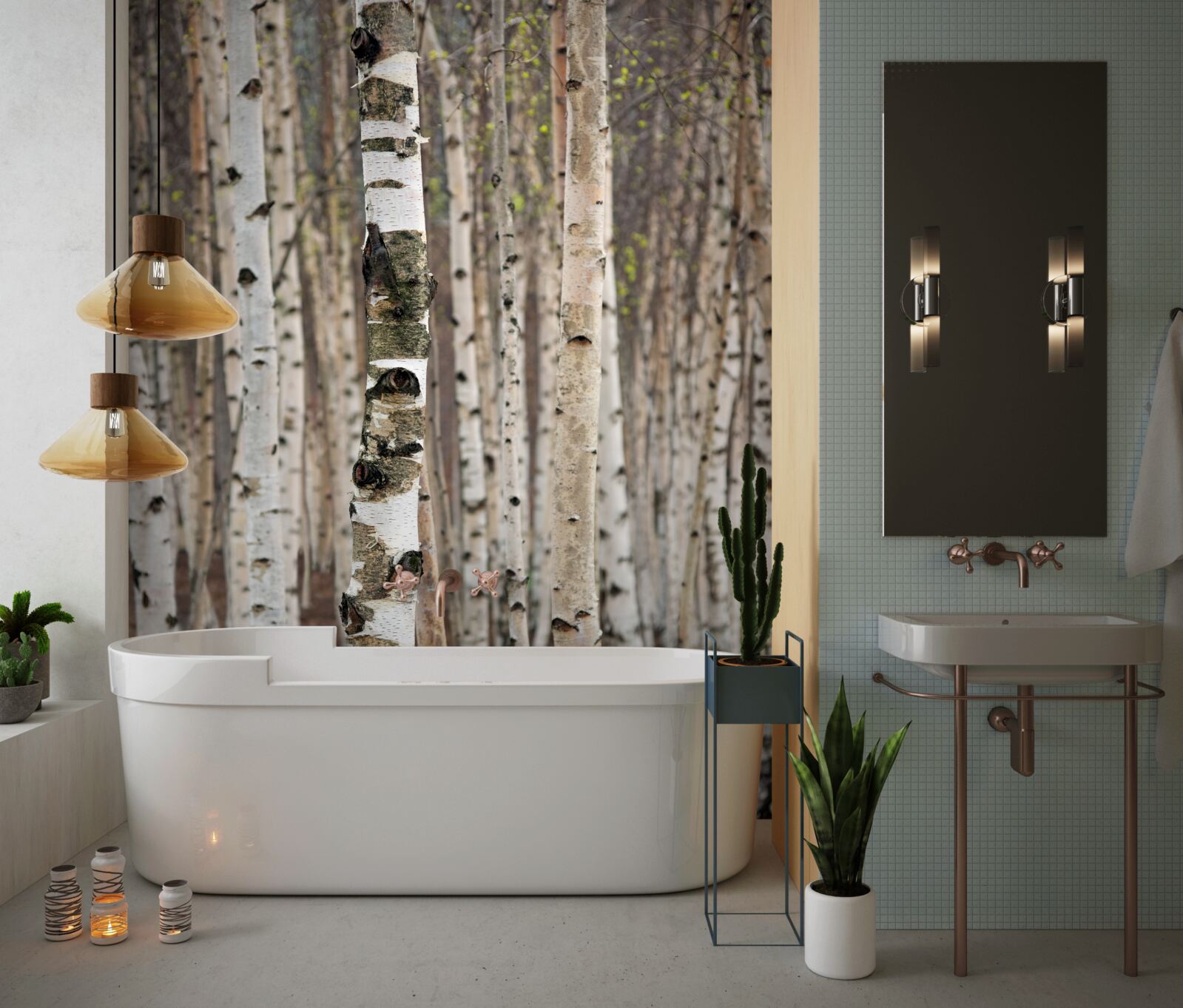 Fototapeta brzozy w lesie