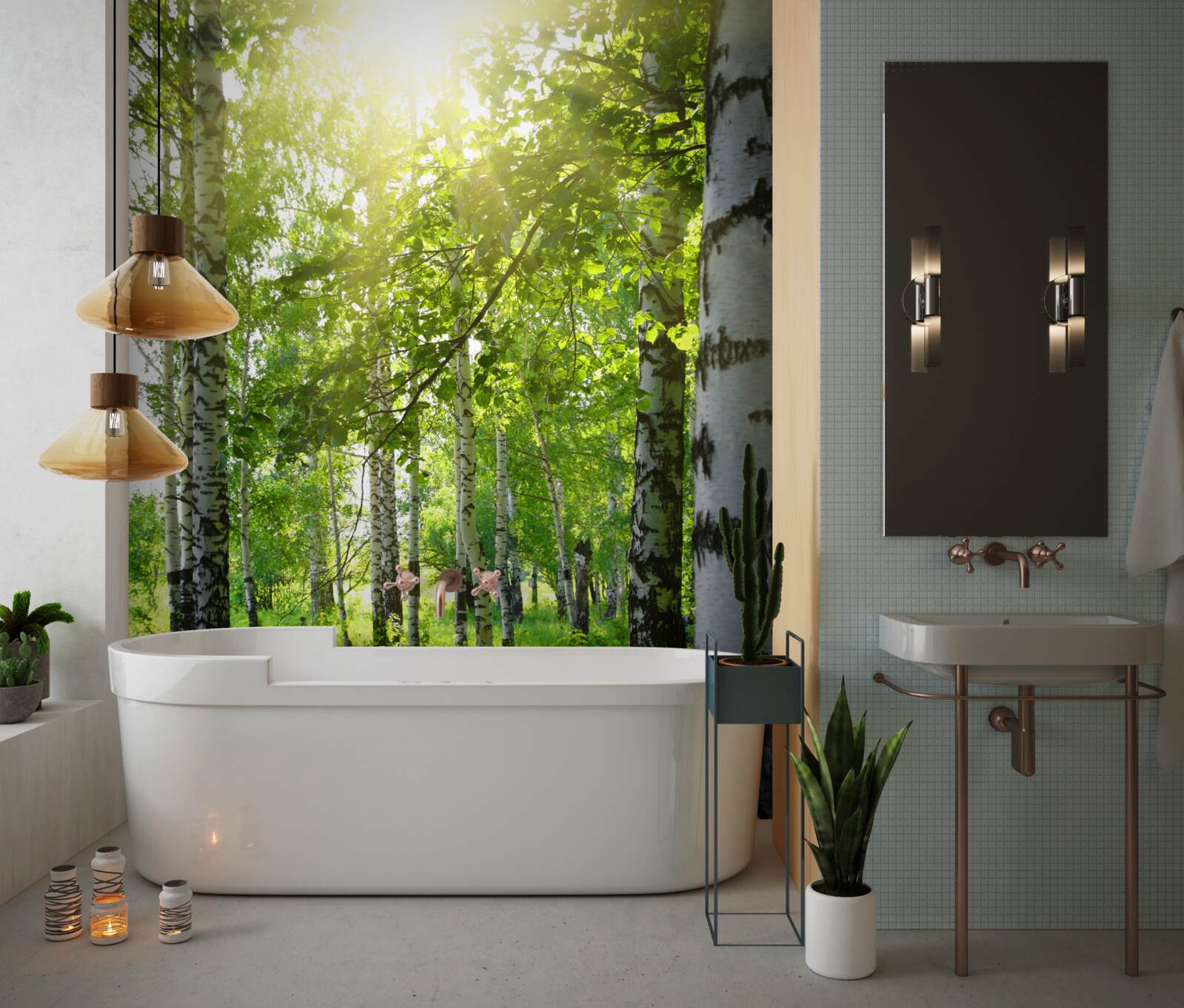 Fototapeta promienie słońca w gaju brzozowym