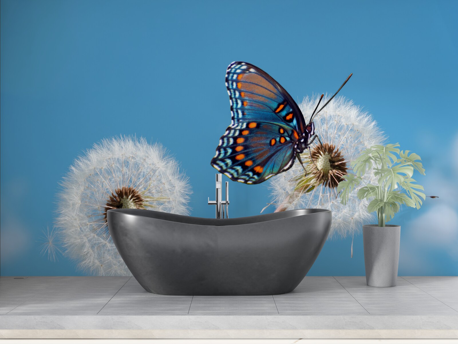 Fototapeta motyl siedzi na zwiędłym mniszku