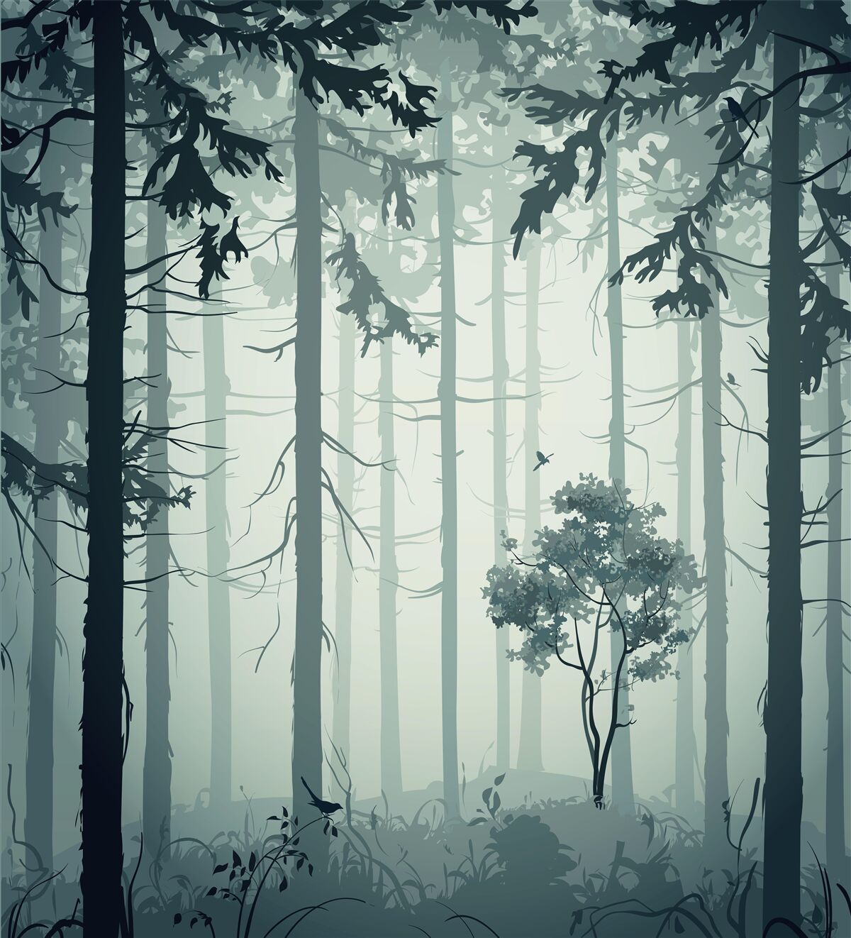 Fototapeta las spowity tajemniczą mgłą