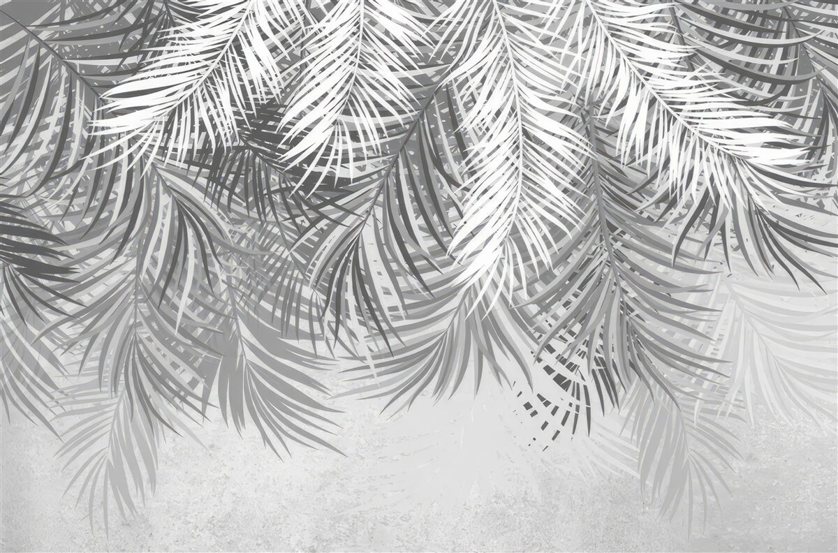 Fototapeta wiszące paprocie w odcieniach bieli i szarości
