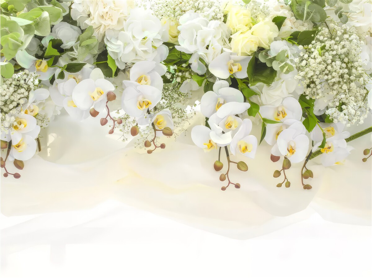 Fototapeta białe orchidee zwisają