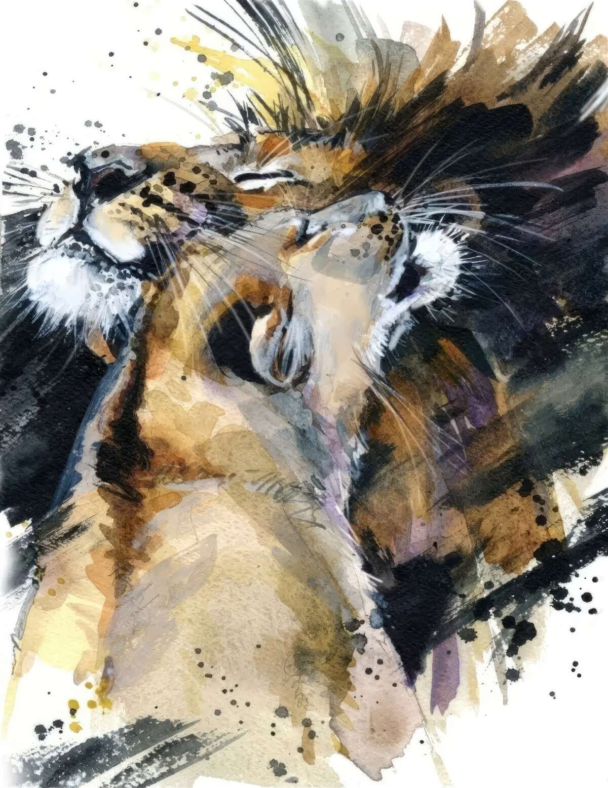 Fototapeta obrazy lwa i lwicy