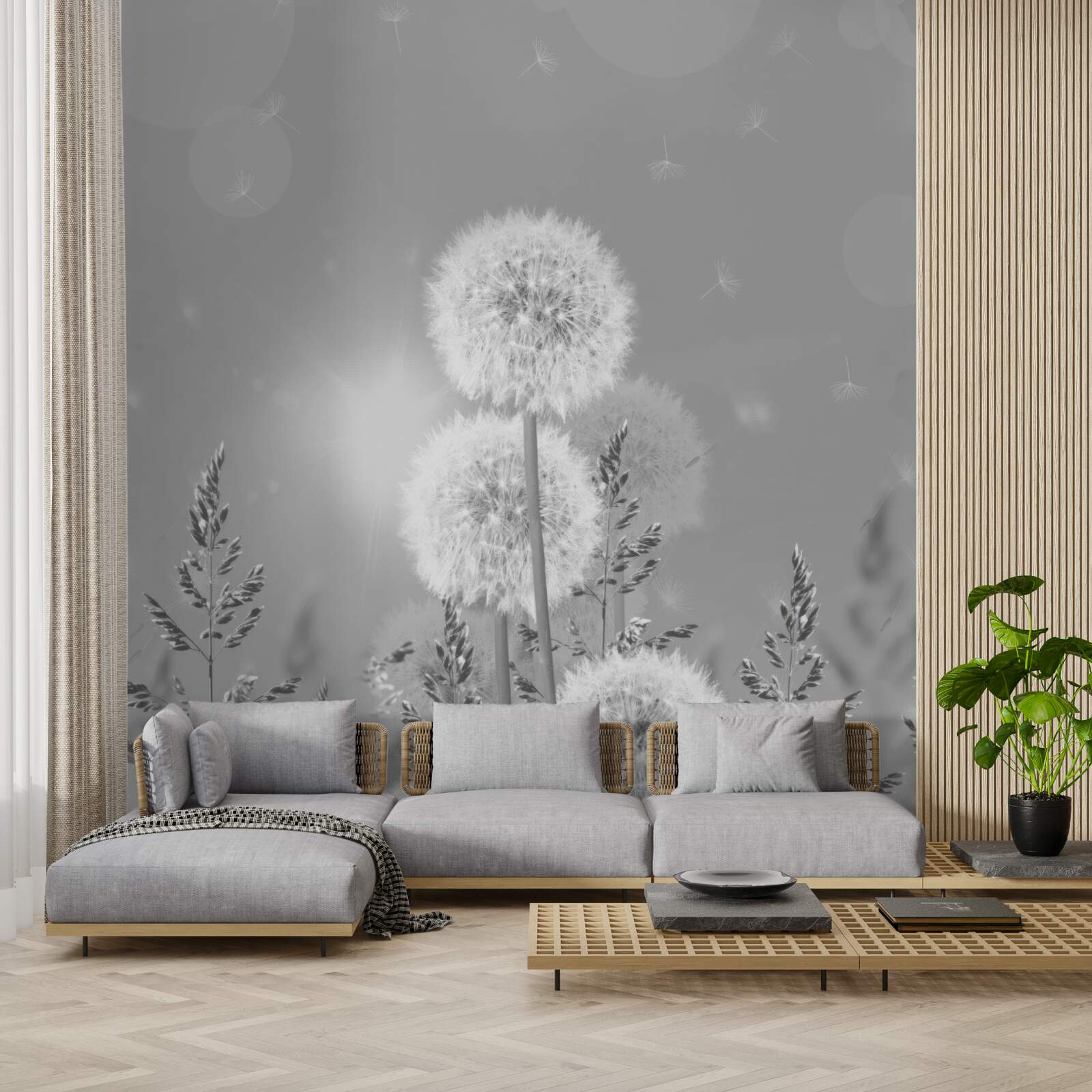 Fototapeta mniszki w odcieniach czerni i bieli