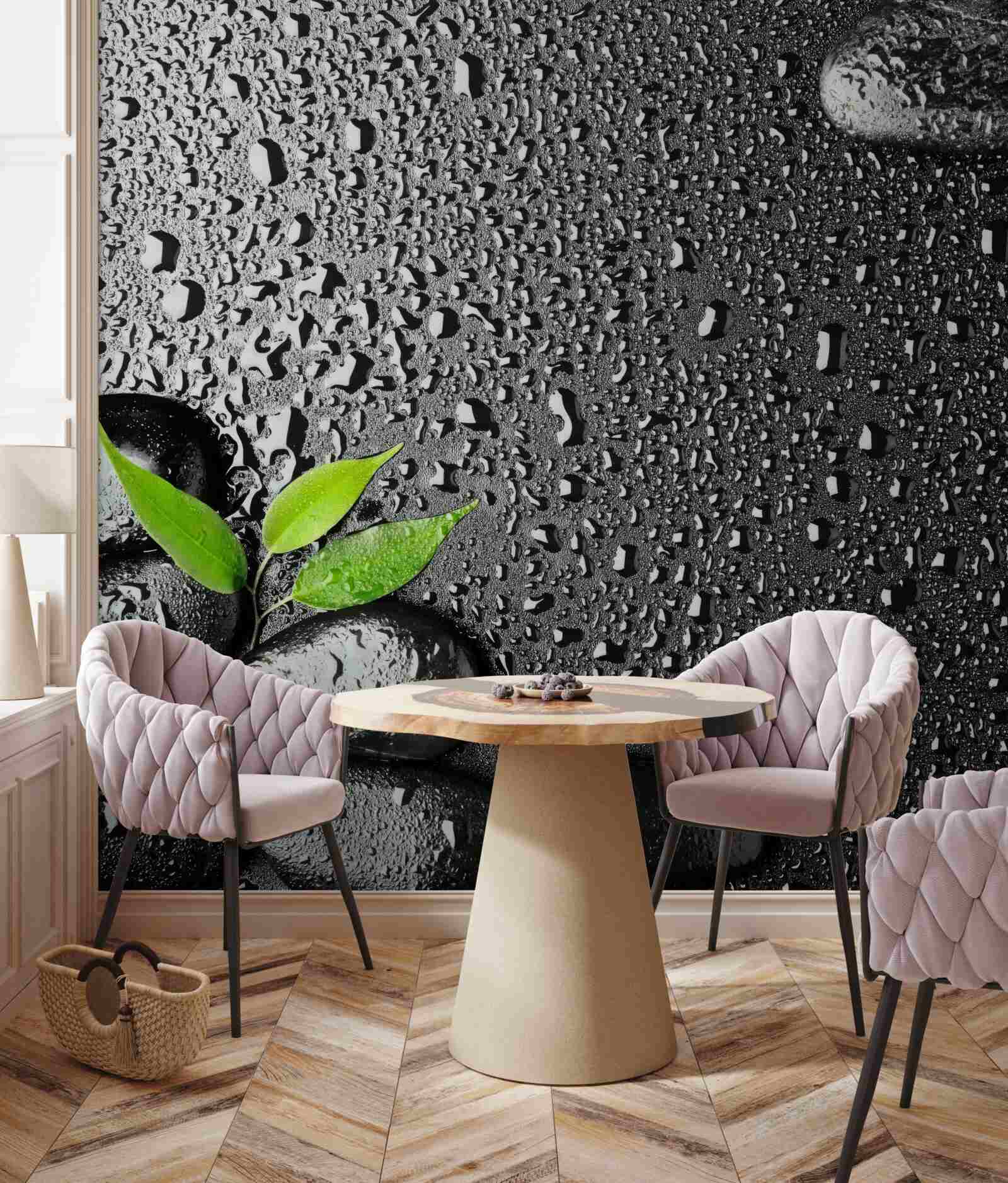 Fototapeta zielone liście i czarne kamienie