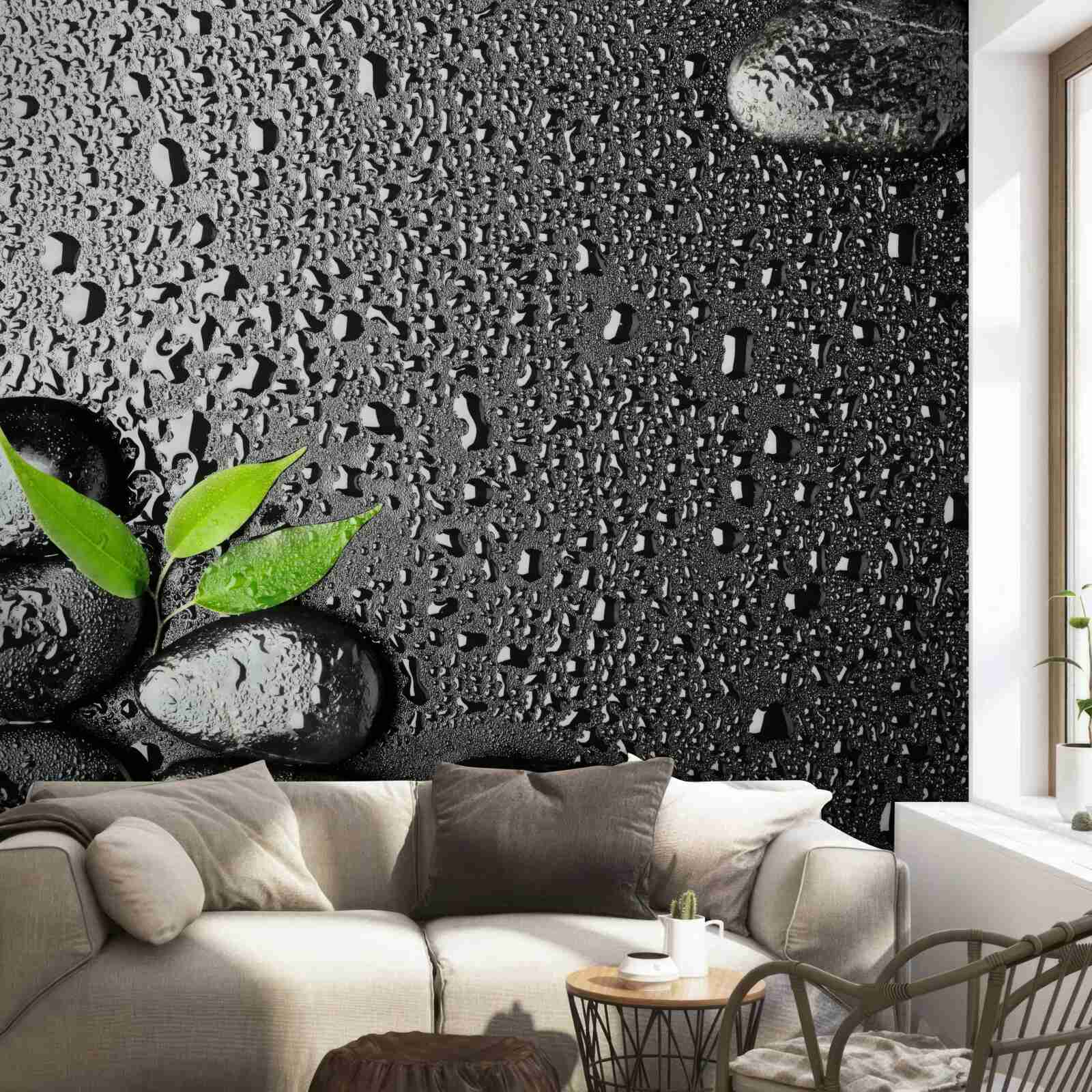 Fototapeta zielone liście i czarne kamienie