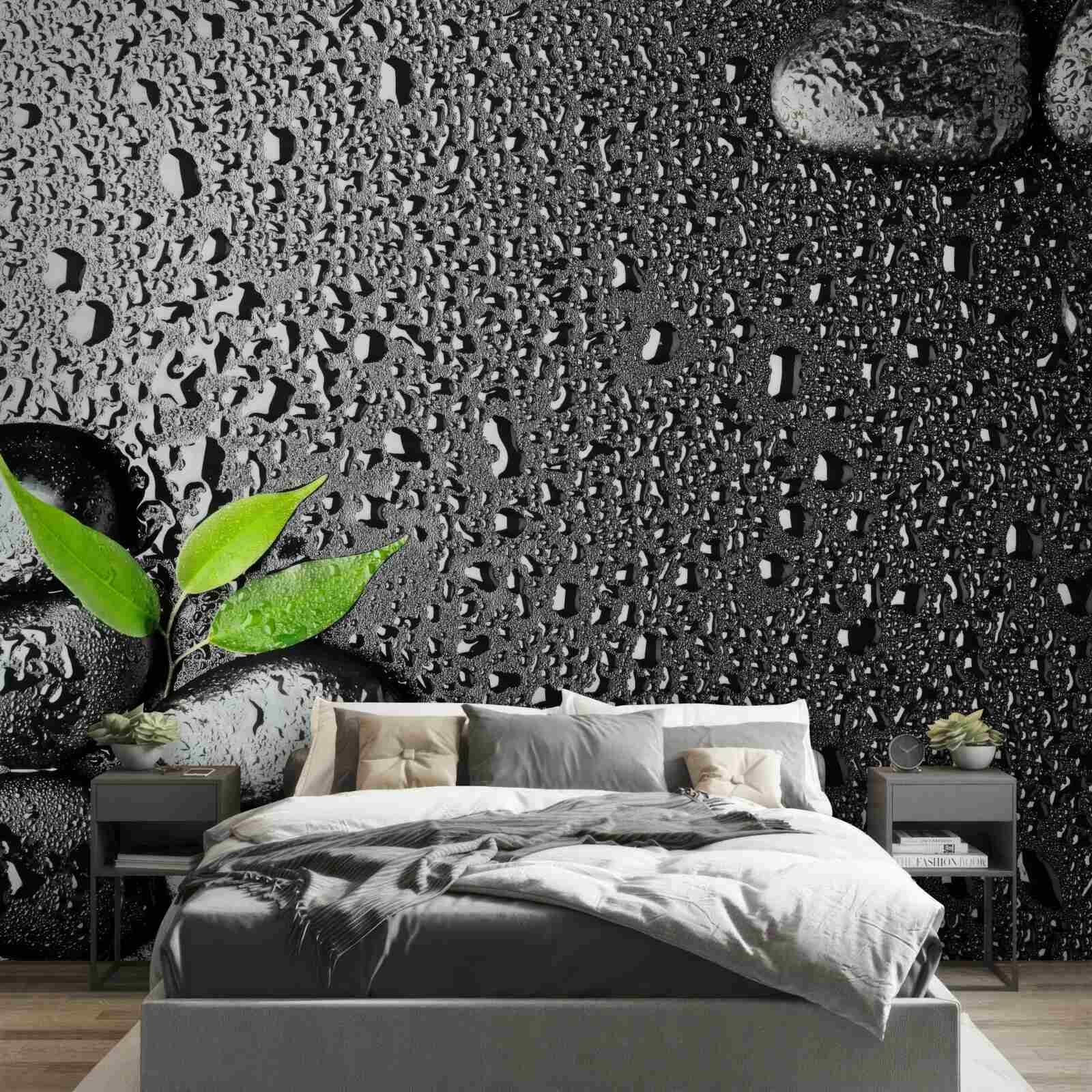 Fototapeta zielone liście i czarne kamienie