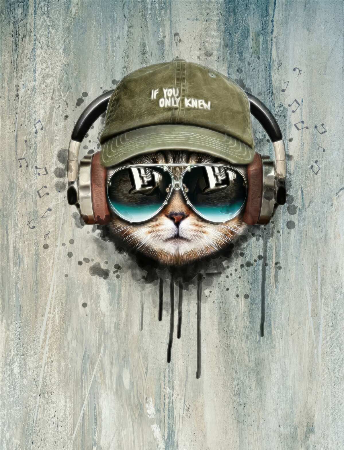 Fototapeta modny kot