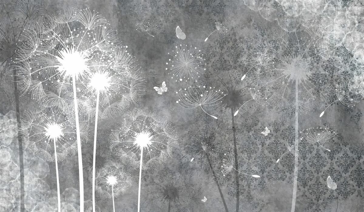 Fototapeta białe sylwetki mleczy na szarym tle