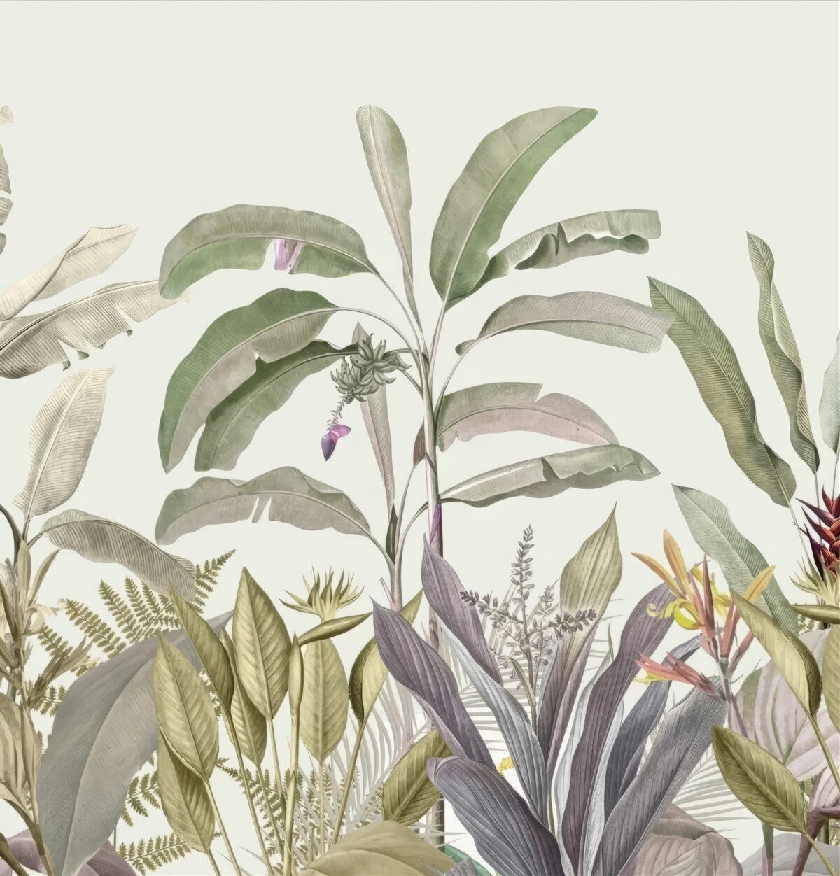 Fototapeta rzadko ukształtowane rośliny i liście