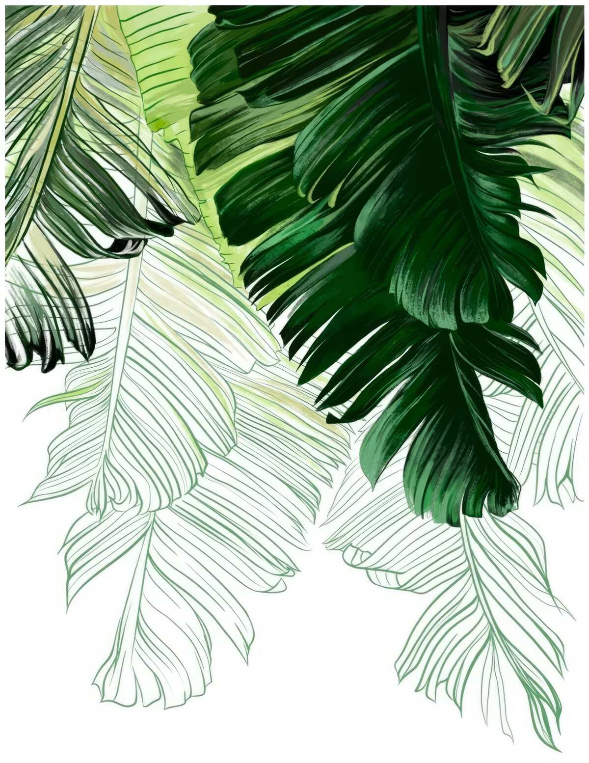 Fototapeta zielone odcienie dużych liści paproci