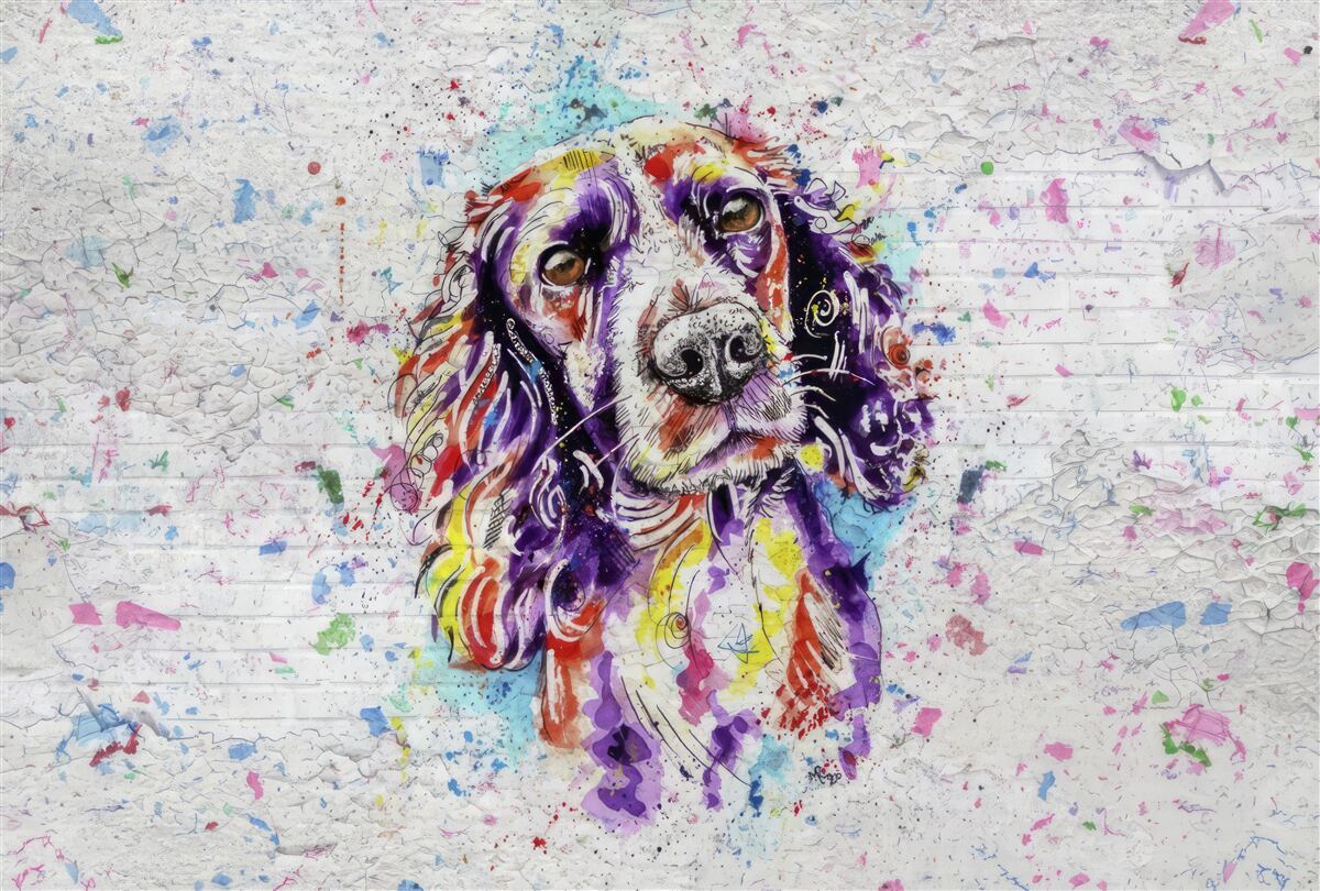 Fototapeta pies pop-artu