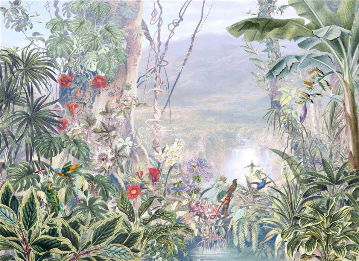 Fototapeta pierzaści mieszkańcy dżungli