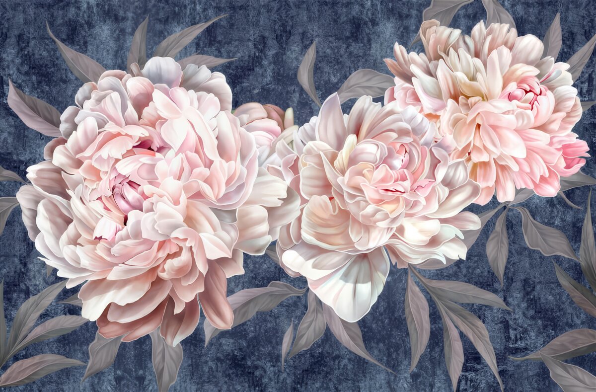 Fototapeta duże jasne piwonie na ciemnej powierzchni