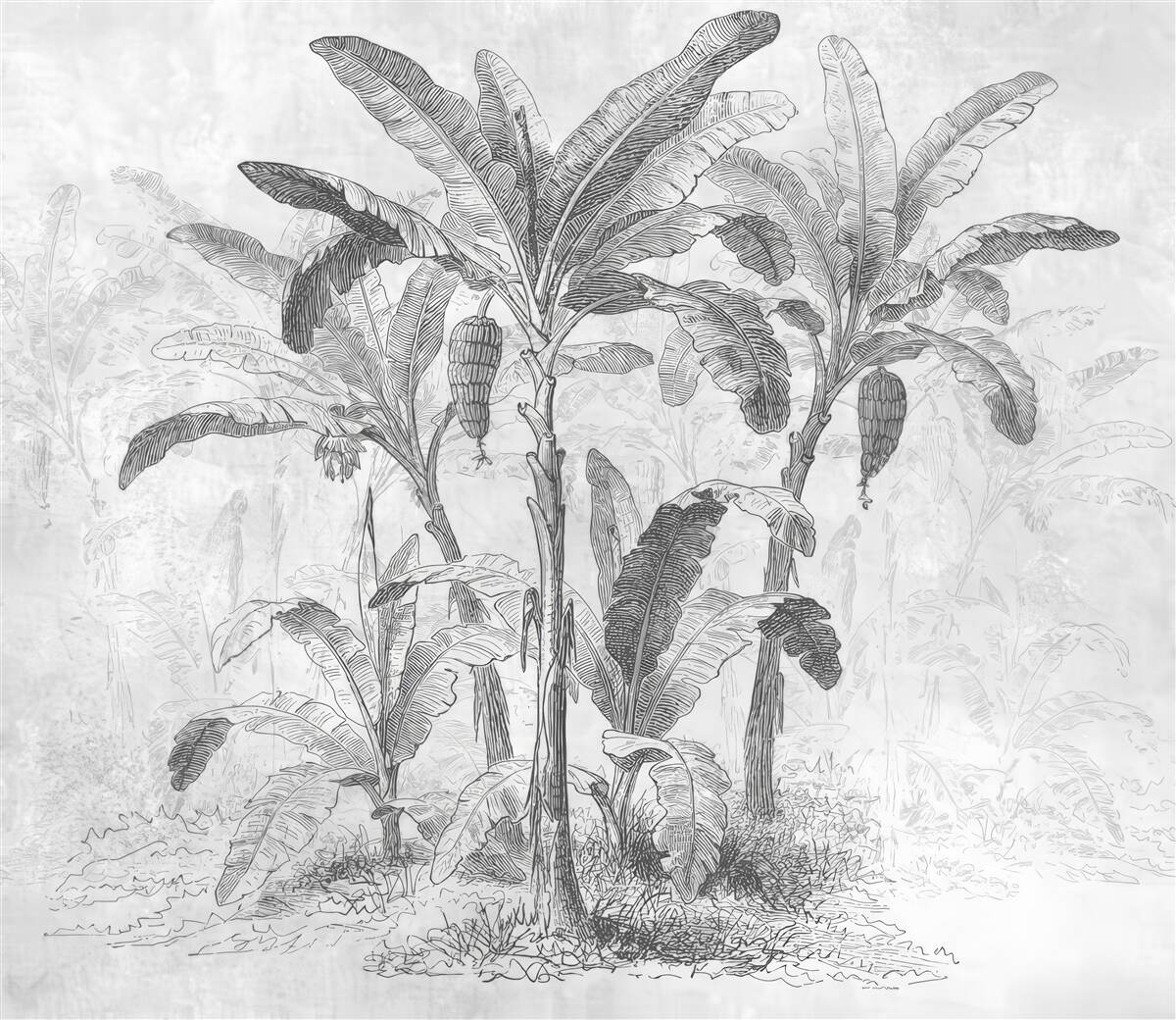 Fototapeta przedstawione palmy