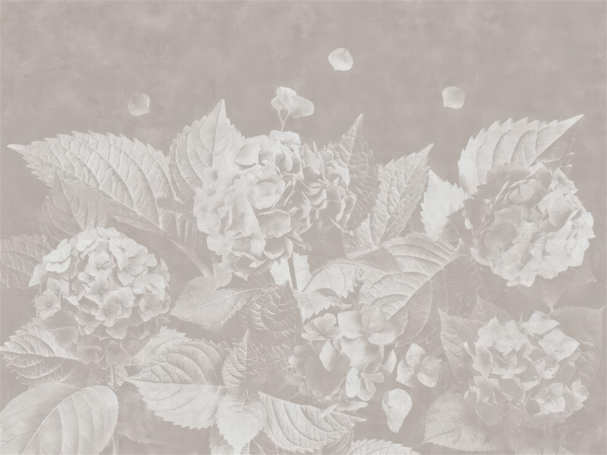 Fototapeta magnolie trudno dostrzec