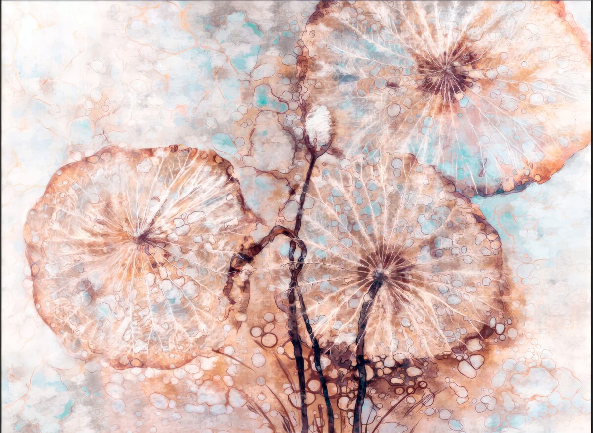 Fototapeta roślina przedstawiona w niecodzienny sposób